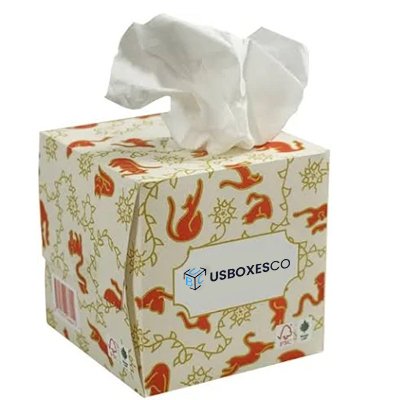 Custom printed tissue box