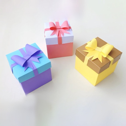 Gift Packaging Boxes